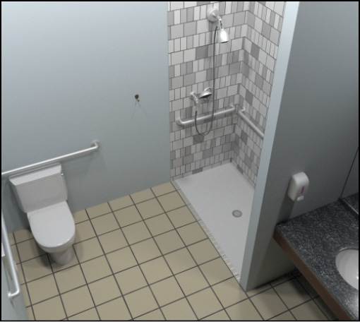 Bathroom with roll-in shower, water closet, and
lavatory